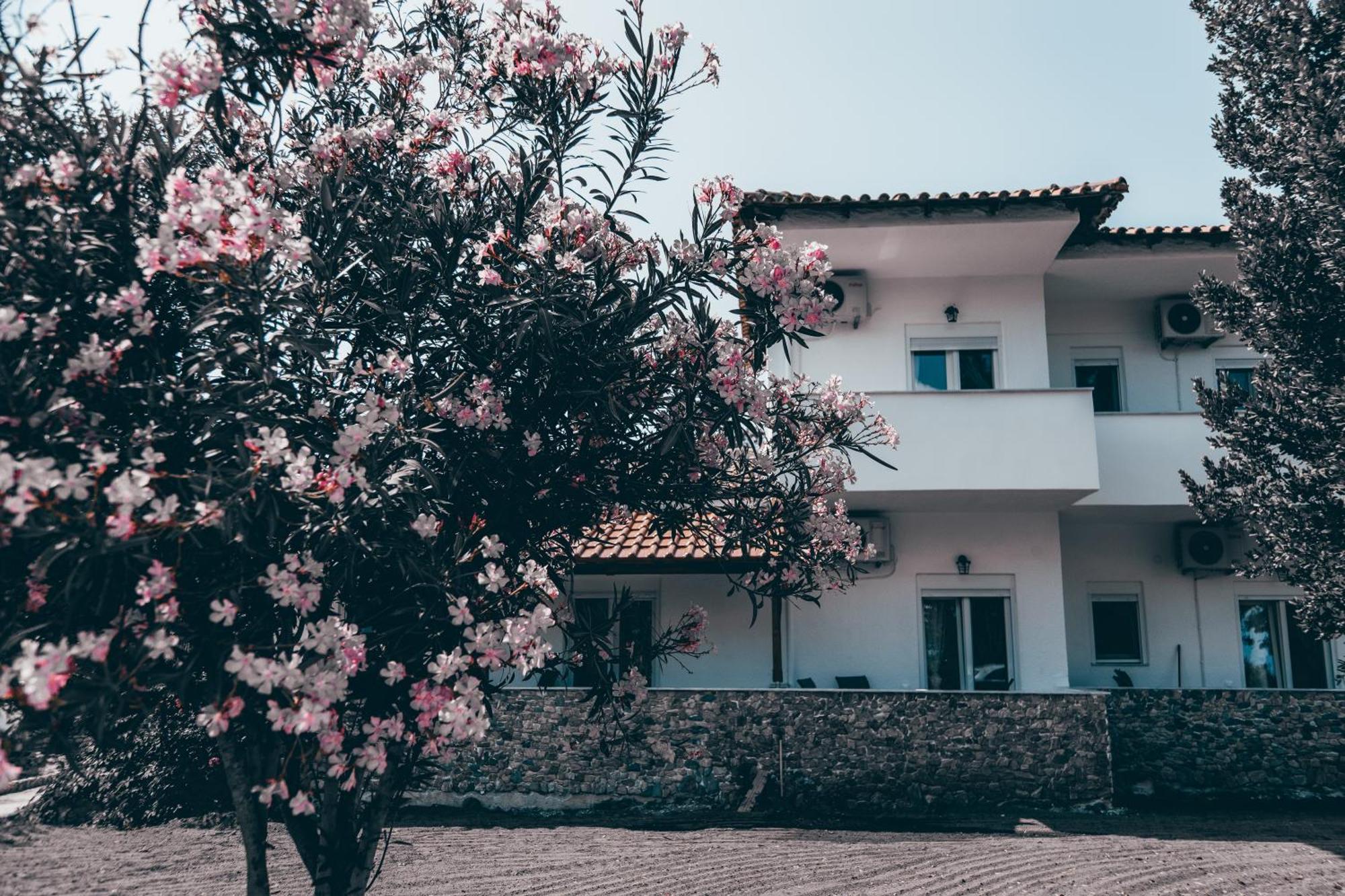 توروني Villa Theano 2 المظهر الخارجي الصورة